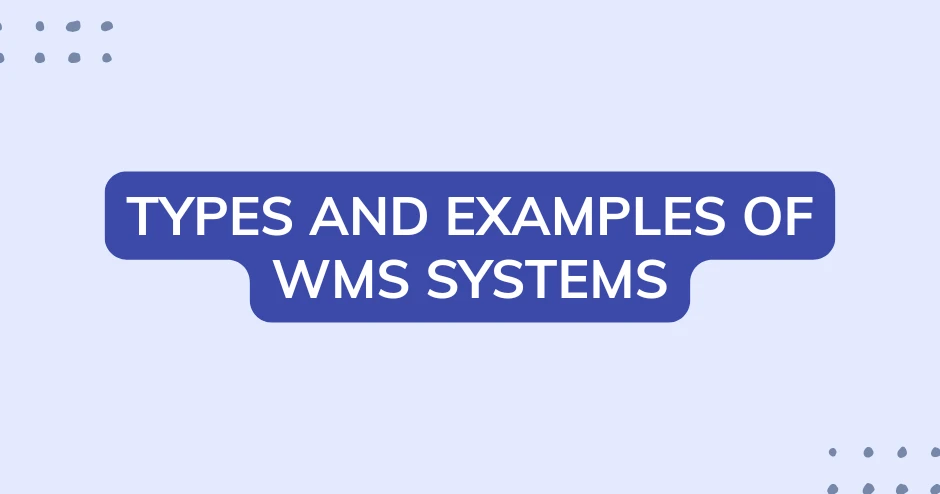 Types and examples of WMS systems | Skylex