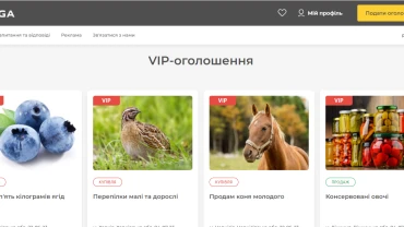 Homepage of the website, VIP announcements block