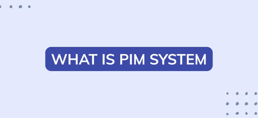 What is PIM
