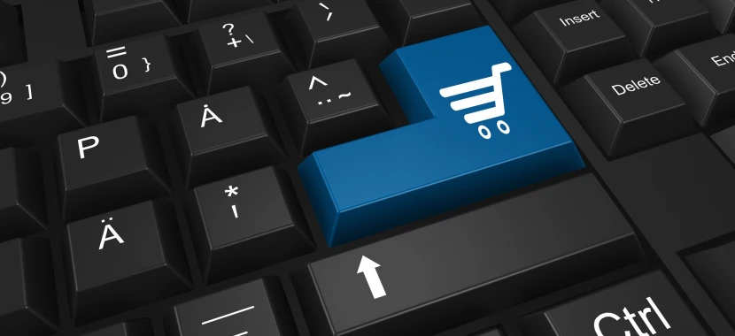Flexible Filters and Instant Search: Simplifying Product Selection in Large Online Stores